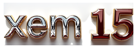 xem15 logo